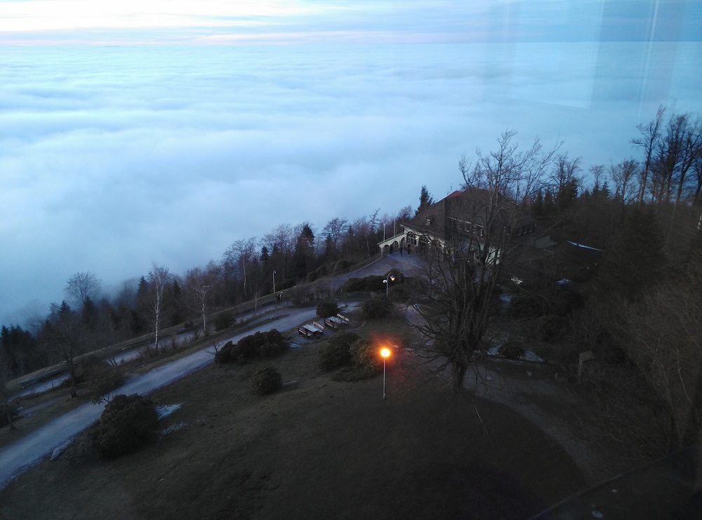 vue de la tour du Merkur