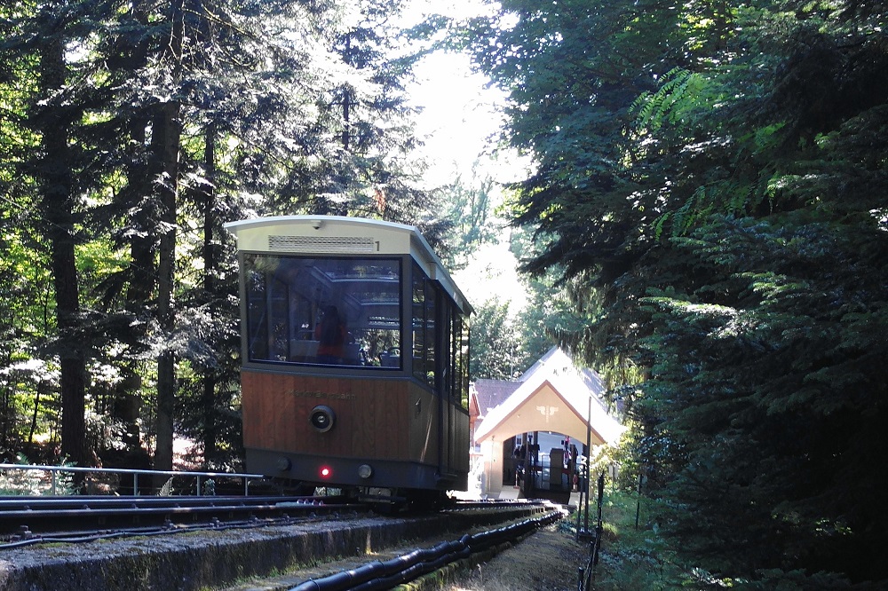 nouvelle cabine en bois